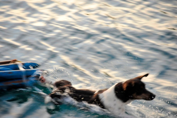 _DSC4411 (Medium).JPG