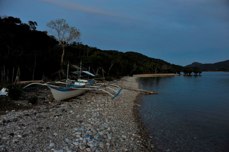 _DSC4422 (Medium).JPG