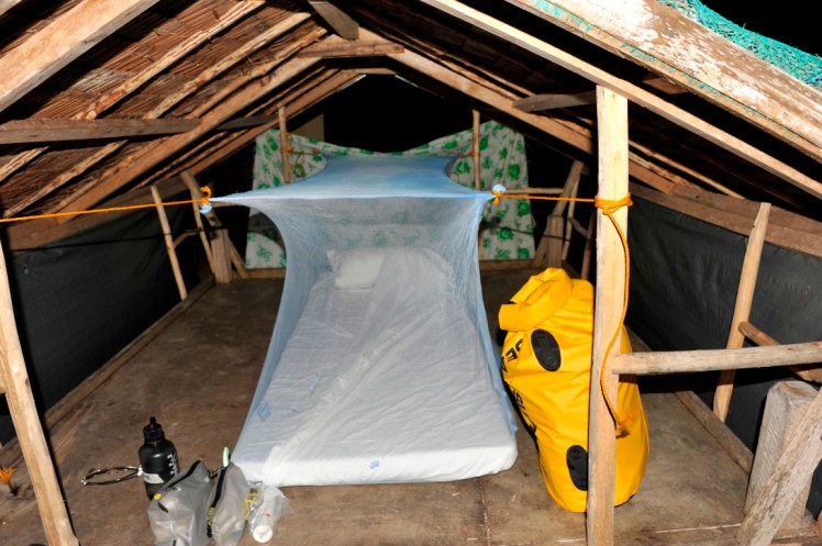 _DSC4424 (Medium).JPG