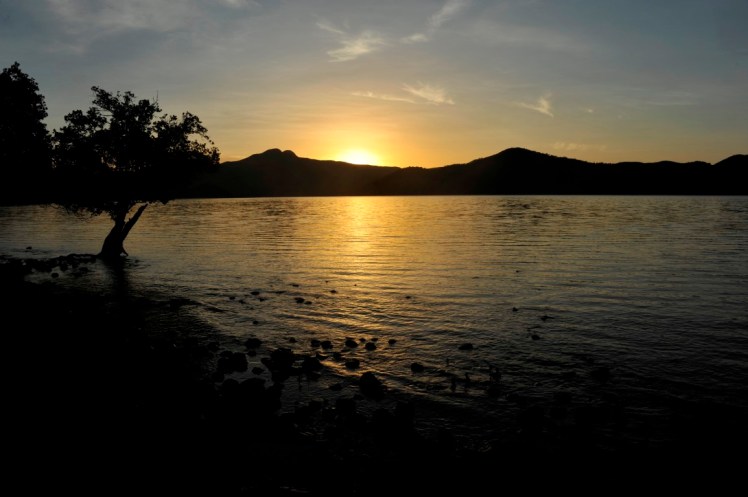 _DSC4480 (Medium).JPG