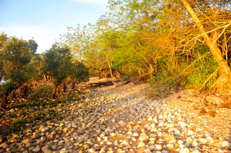 _DSC4509 (Medium).JPG