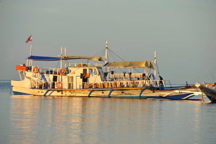 _DSC4520 (Medium).JPG