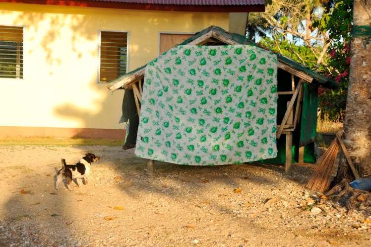 _DSC4536 (Medium).JPG