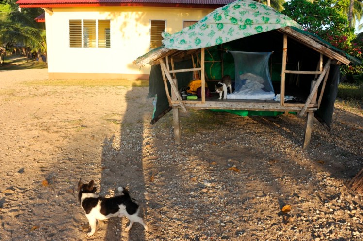 _DSC4537 (Medium).JPG