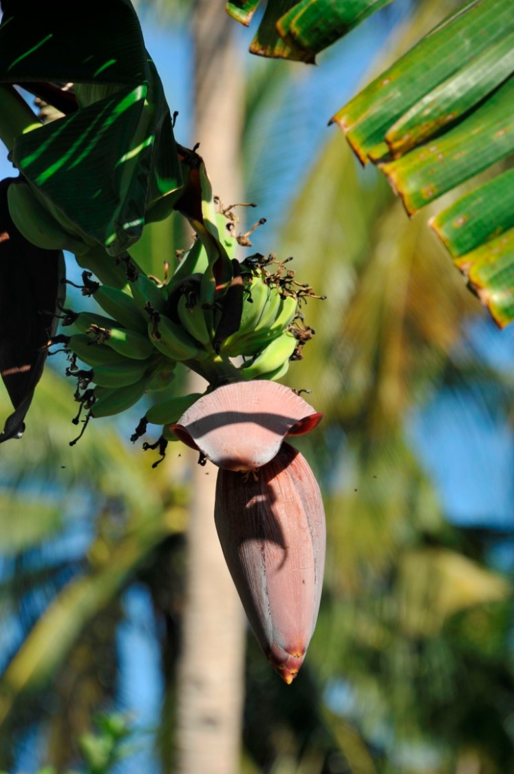 _DSC4562 (Medium).JPG