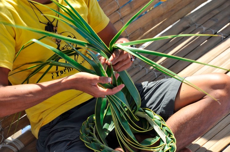 _DSC4620 (Medium).JPG