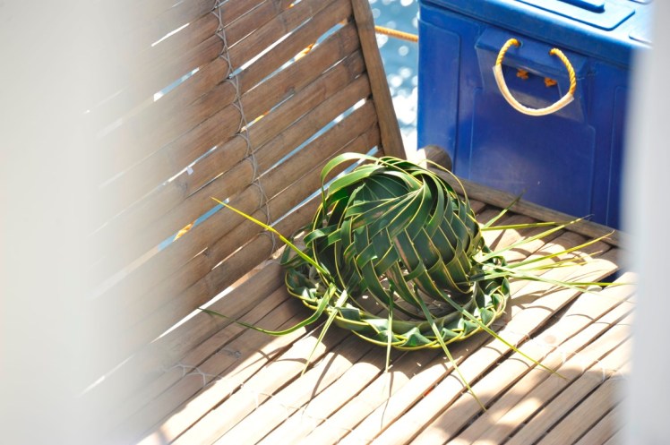 _DSC4632 (Medium).JPG