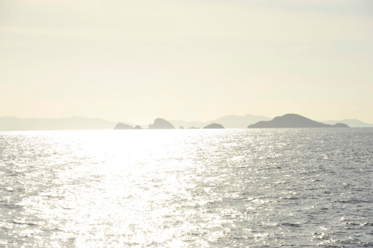 _DSC4692 (Medium).JPG