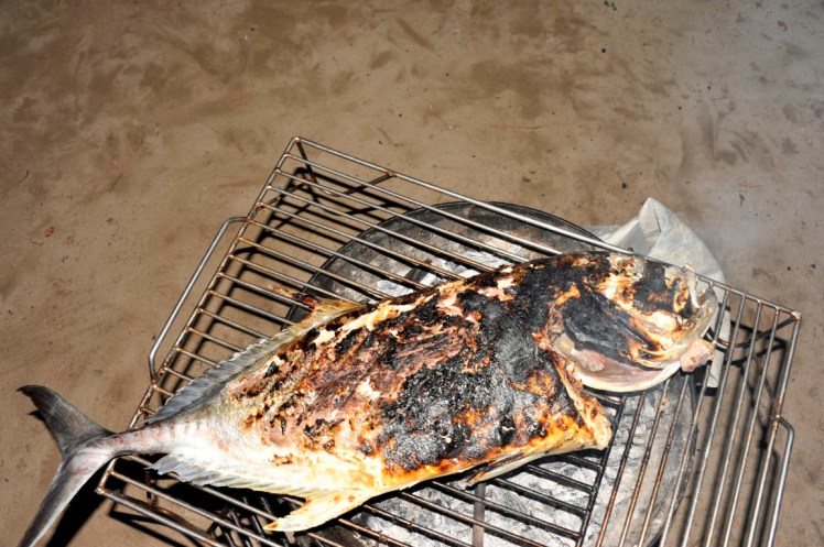 _DSC4768 (Medium).JPG