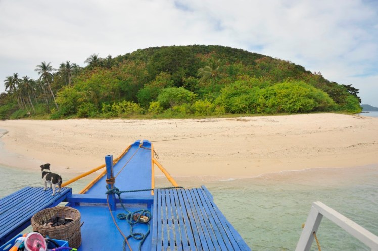 _DSC4807 (Medium).JPG