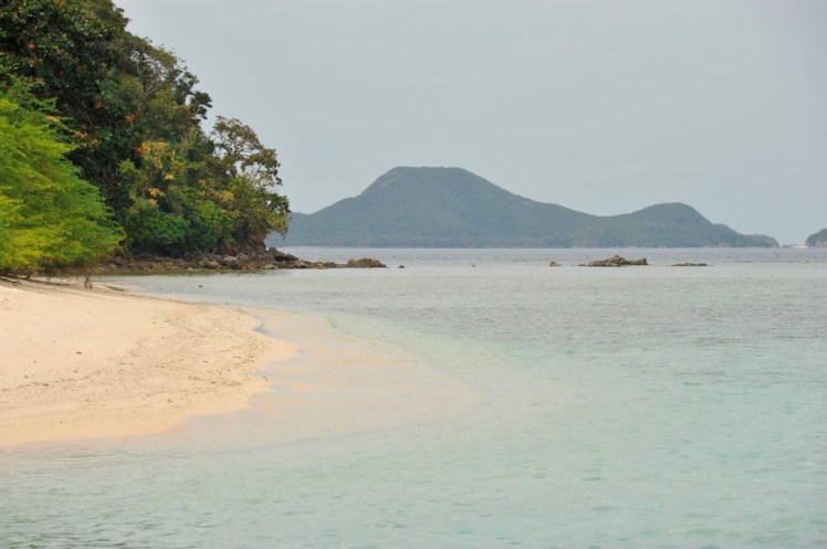 _DSC4828 (Medium).JPG