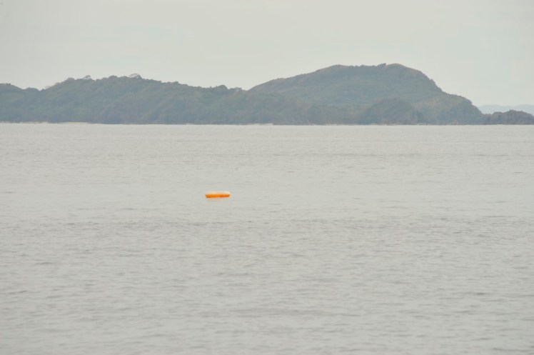 _DSC4888 (Medium).JPG