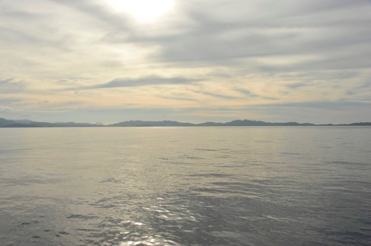 _DSC4937 (Medium).JPG