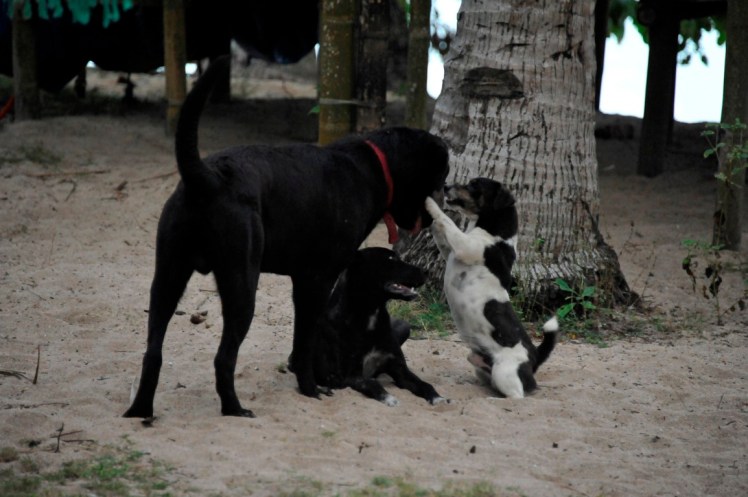 _DSC5218 (Medium).JPG