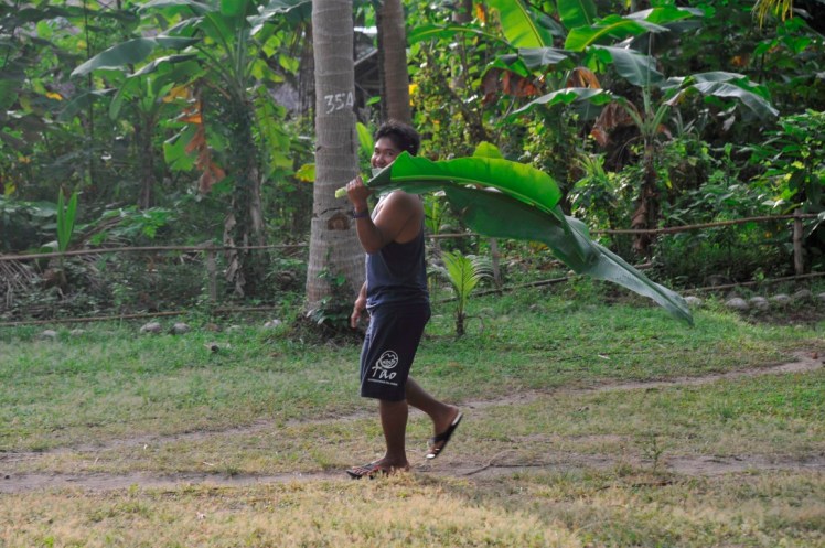 _DSC5224 (Medium).JPG