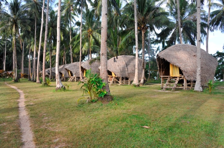 _DSC5230 (Medium).JPG