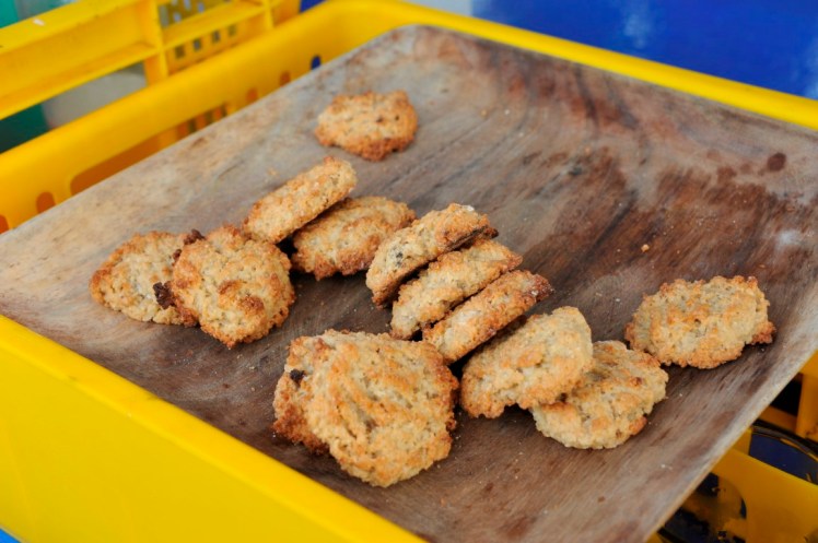 _DSC5349 (Medium).JPG