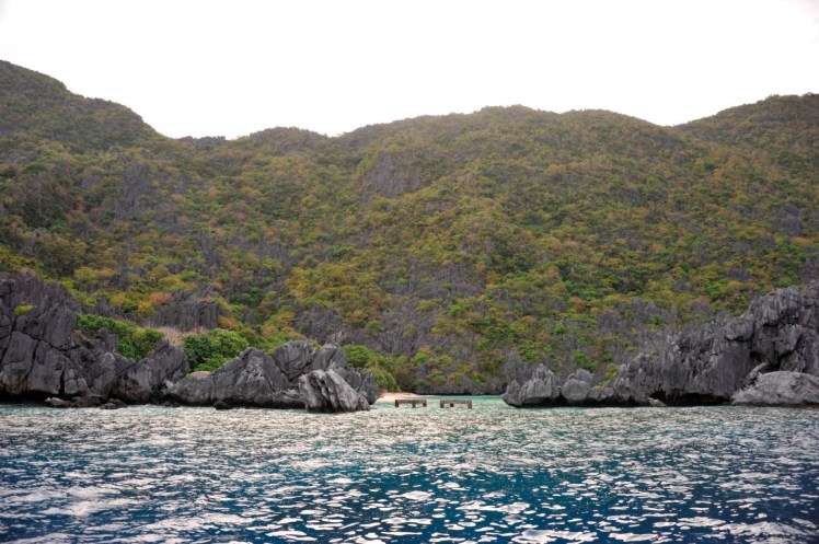 _DSC5593 (Medium).JPG