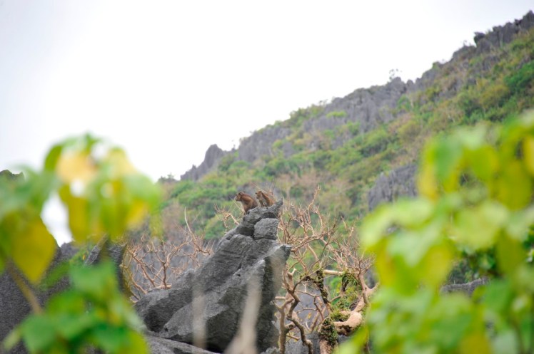 _DSC5698 (Medium).JPG