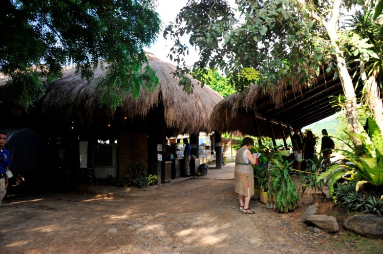 _DSC6035 (Medium).JPG