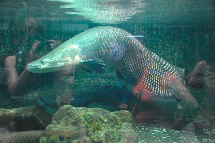 _DSC6439 (Medium).JPG