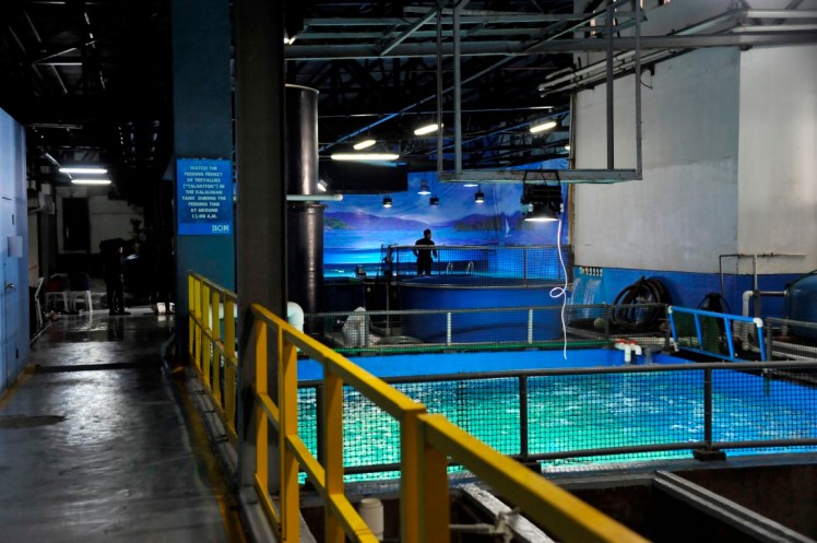 _DSC6622 (Medium).JPG