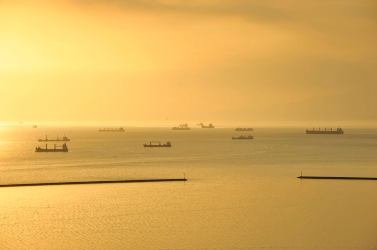 _DSC6690 (Medium).JPG