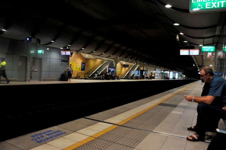 _DSC6809 (Medium).JPG