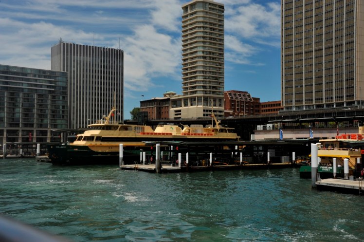 _DSC6814 (Medium).JPG