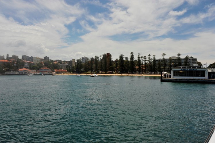 _DSC6846 (Medium).JPG