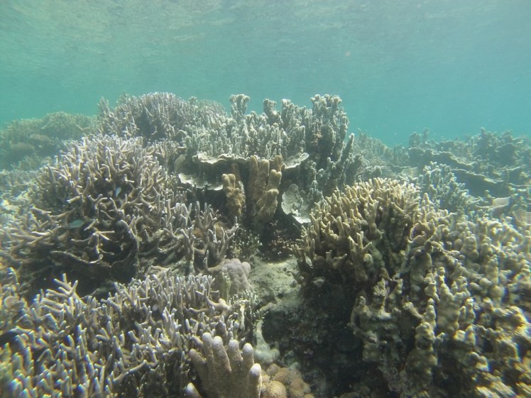 GOPR1245 (Medium).JPG