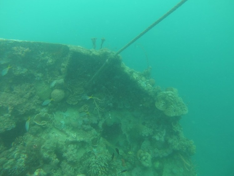 GOPR1257 (Medium).JPG