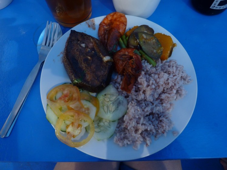 P1090837 (Medium).JPG