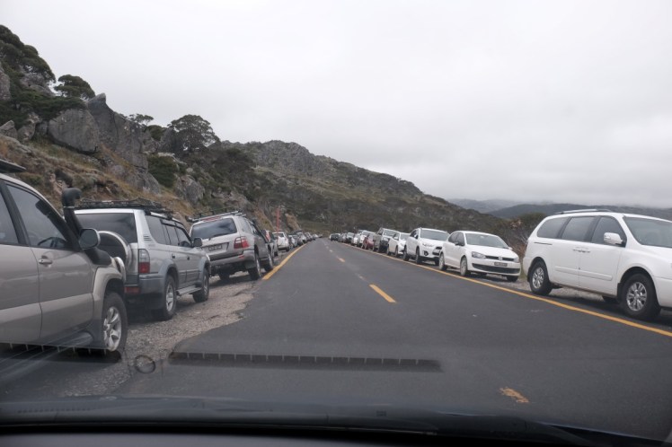 DSCF5771 (Medium).JPG