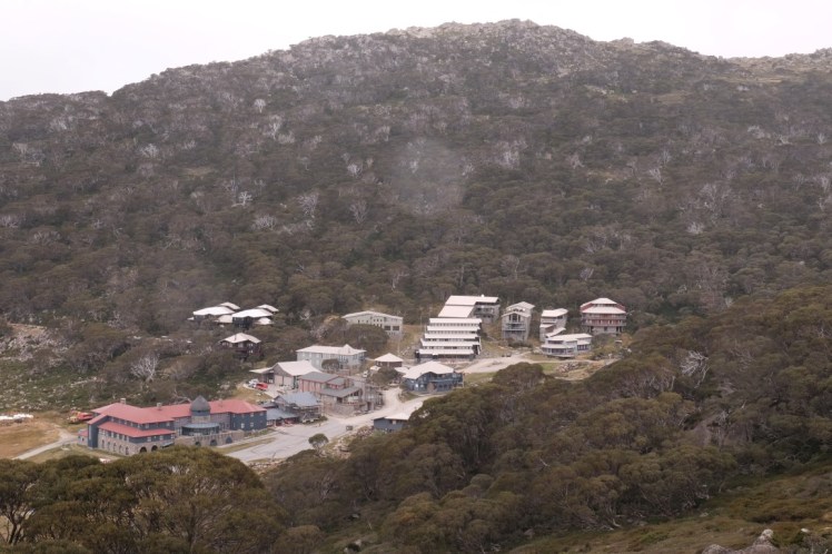 DSCF5774 (Medium).JPG