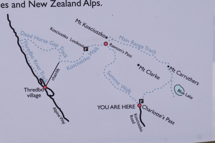 DSCF5777 (Medium).JPG