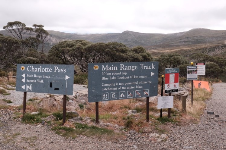 DSCF5783 (Medium).JPG