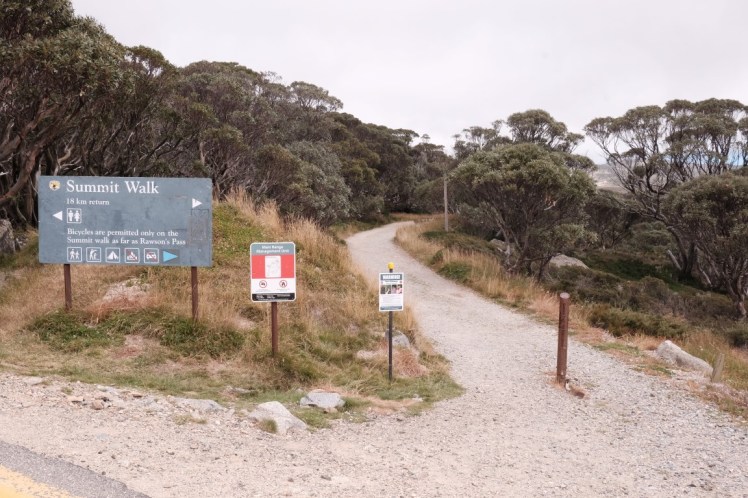 DSCF5784 (Medium).JPG