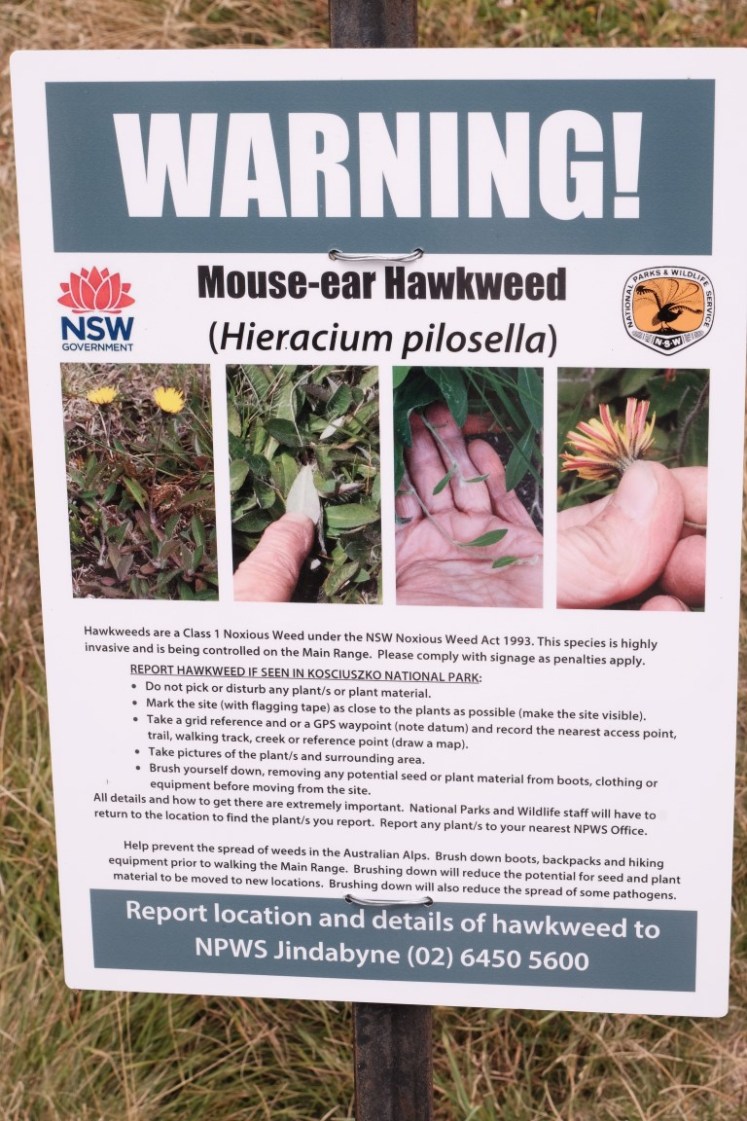 DSCF5785 (Medium).JPG