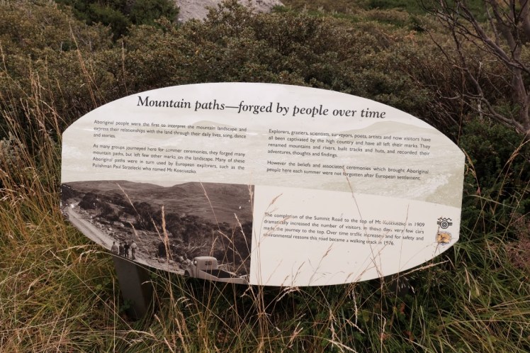 DSCF5786 (Medium).JPG