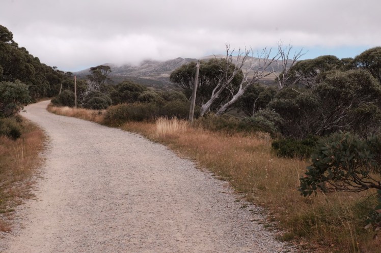 DSCF5787 (Medium).JPG