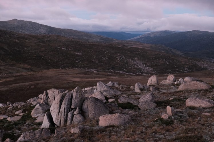 DSCF5858 (Medium).JPG