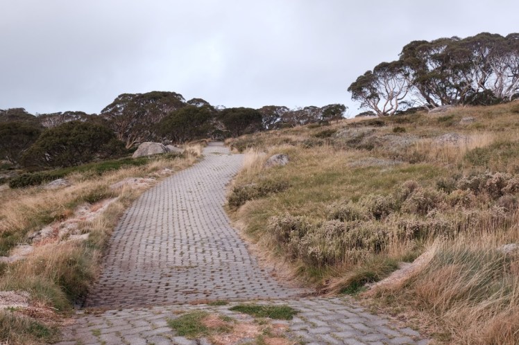 DSCF6138 (Medium).JPG