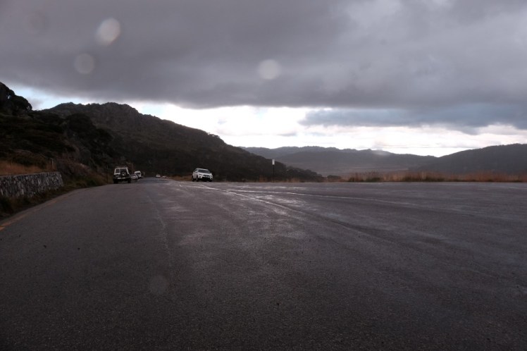 DSCF6143 (Medium).JPG