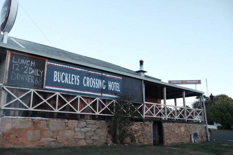 DSCF6176 (Medium).JPG