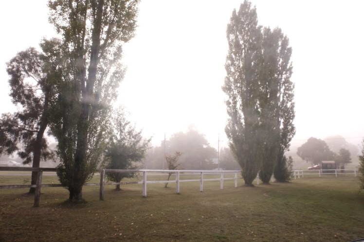 DSCF6213 (Medium).JPG