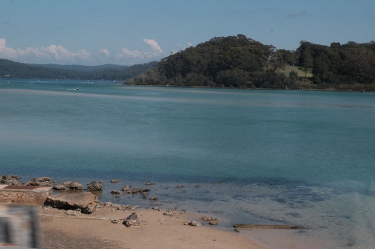 DSCF6238 (Medium).JPG