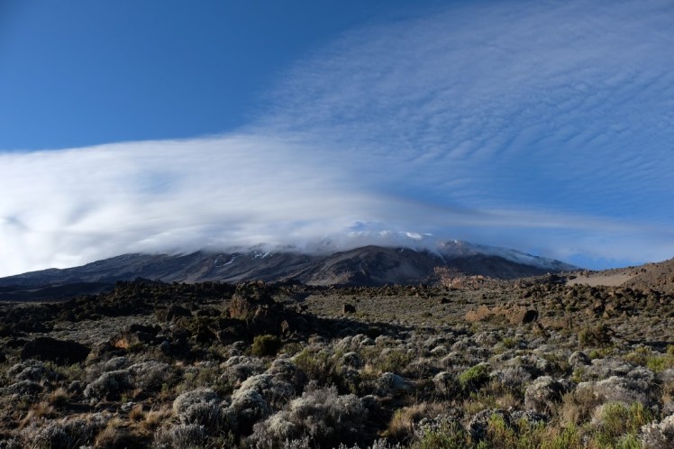 DSCF0517 (Medium).JPG