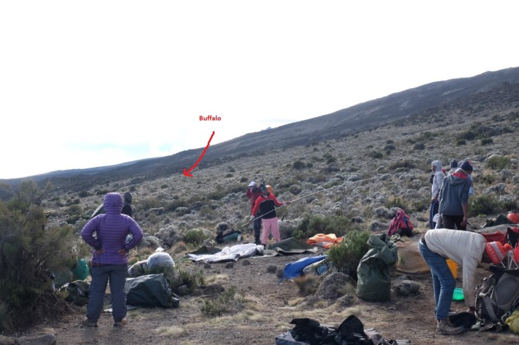 DSCF0529 (Medium).JPG