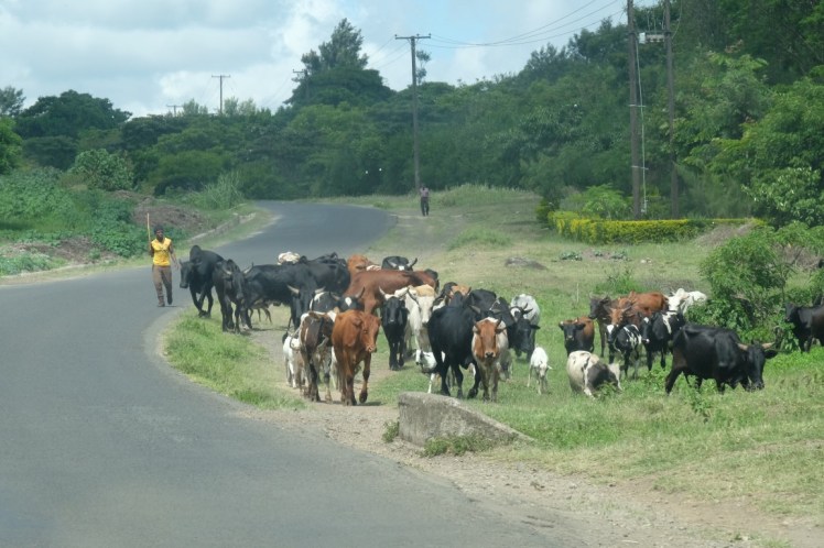 DSCF9692 (Medium).JPG